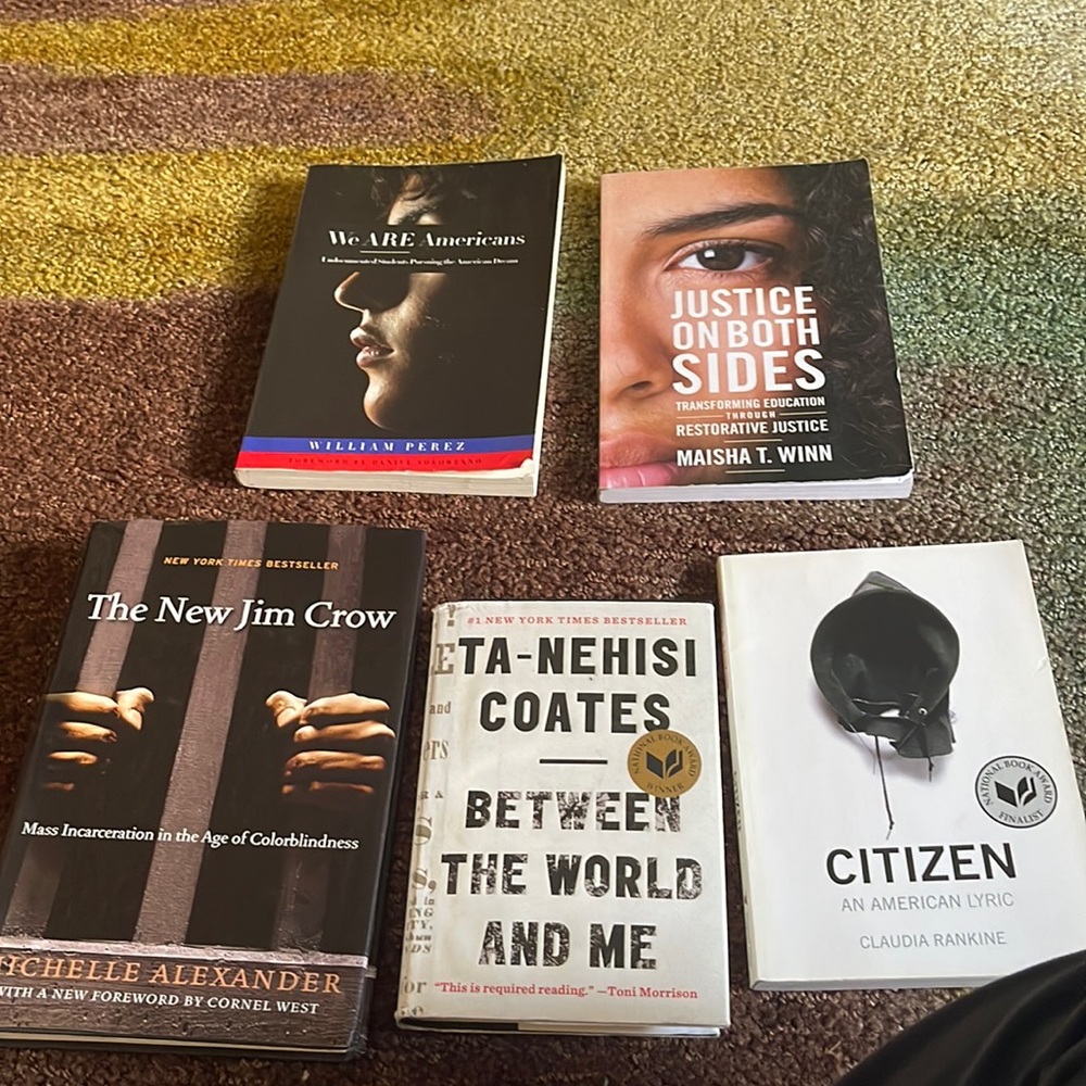 Books social science, social justice issues